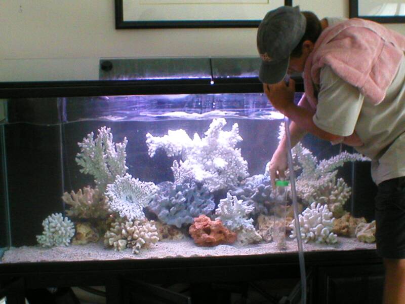 aquarium installation