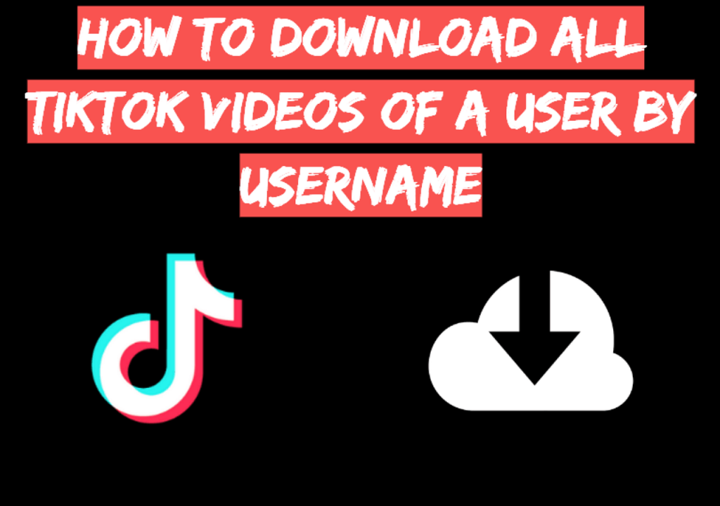 tiktok downloader
