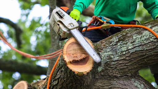 Tree Service